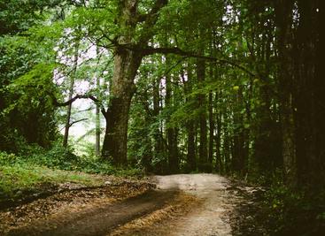 免费PDF批量转换图片工具