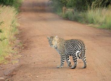 WeClone用微信聊天记录微调大语言模型