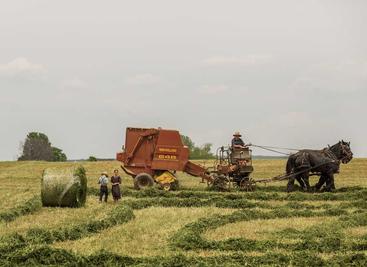免费邮箱群发器