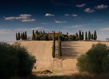 drawnix
极简的在线白板工具