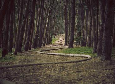 MYSQL通过二进制文件恢复数据