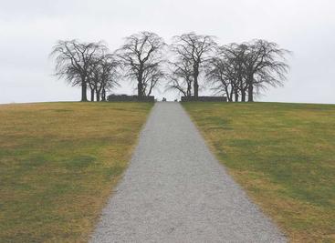 从零开始训练小型语言模型